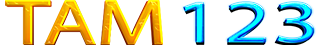 TAM 123